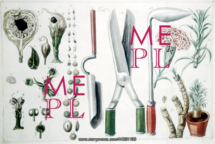 : 18th century gardening tools and equipment : 18th century gardening tools and equipment