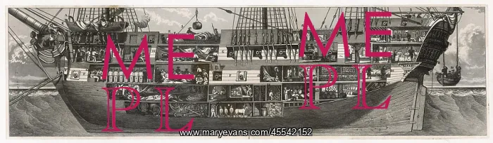 : 18th century Ship Cross-Section : 18th century Ship Cross-Section