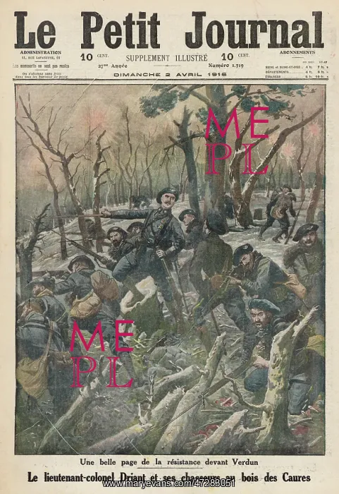: 1916 / VERDUN / DRIANT : 1916 / VERDUN / DRIANT