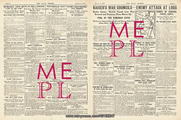  : 1917 Daily Mirror, The Case of Mrs Cornwallis-West