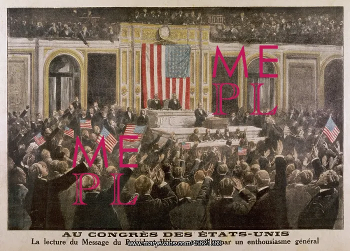 : 1917 / WILSON & CONGRESS : 1917 / WILSON & CONGRESS