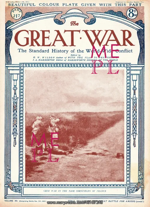 : 1918 The Great War Grim war in cornfields of France : 1918 The Great War Grim war in cornfields of France