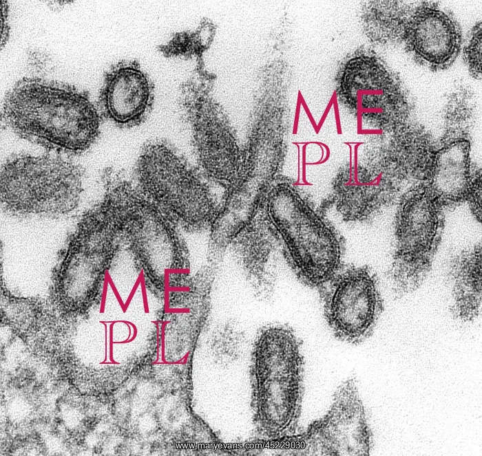 : 1918 influenza virions (virus particles).? : 1918 influenza virions (virus particles).?