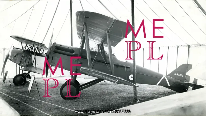 : The 1918 SE5A, G-EBIC, of the Nash Collection inside the : The 1918 SE5A, G-EBIC, of the Nash Collection inside the