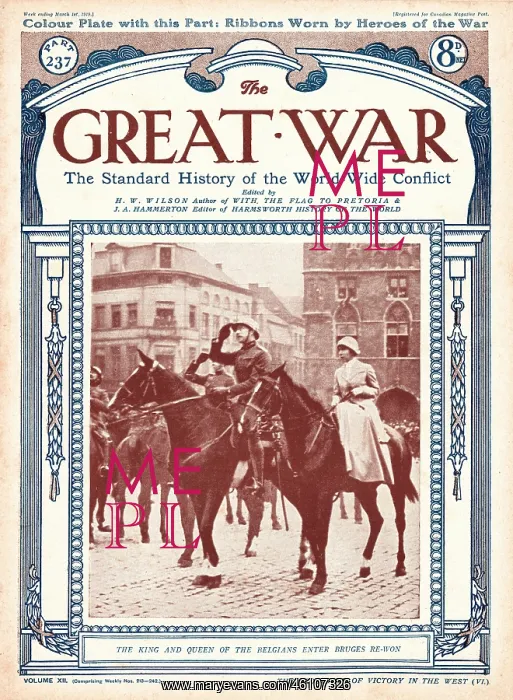 : 1919 The Great War King and Queen of the Belgians : 1919 The Great War King and Queen of the Belgians