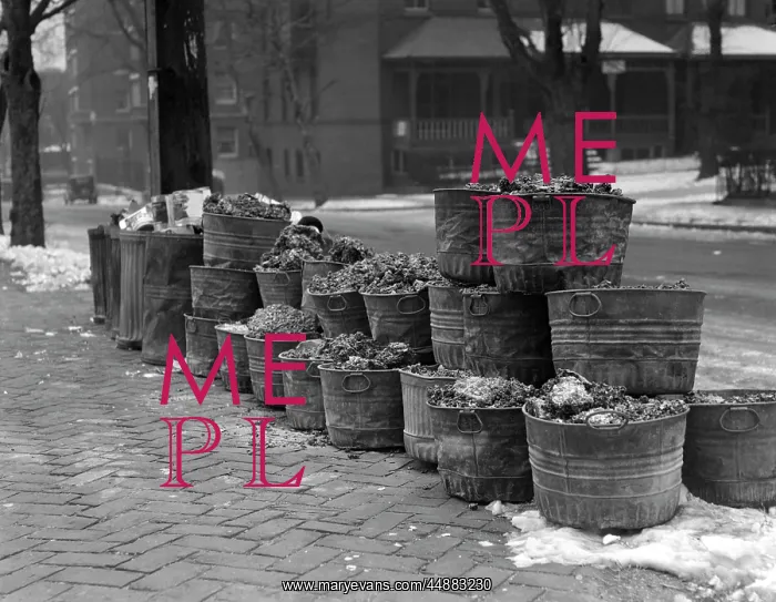 : 1920s 1930A Ash Trash Garbage : 1920s 1930A Ash Trash Garbage
