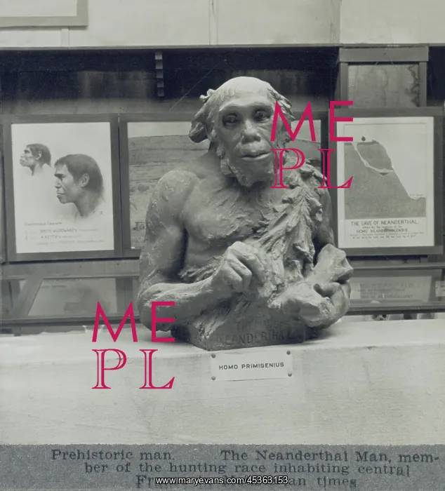 : 1920s conjectural creation of a Neanderthal man : 1920s conjectural creation of a Neanderthal man