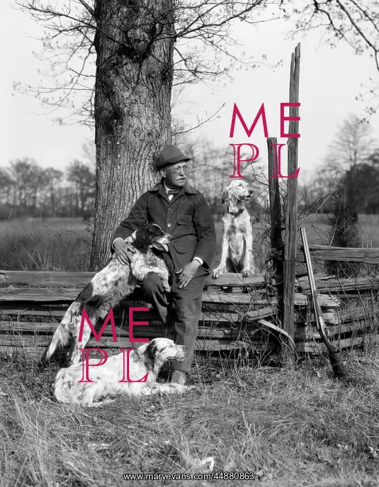  : 1920s Man & Three Dogs Sitting
