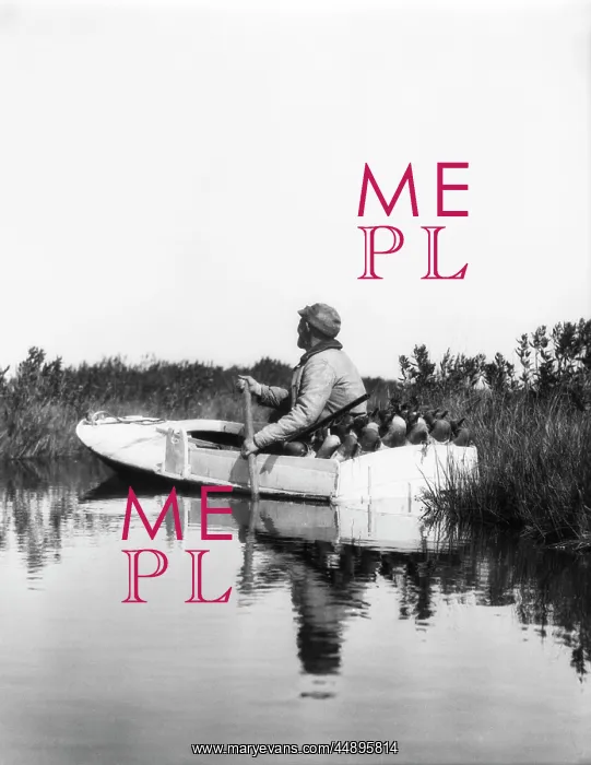: 1920s MAN HUNTER PADDLING SMALL BOAT THROUGH : 1920s MAN HUNTER PADDLING SMALL BOAT THROUGH