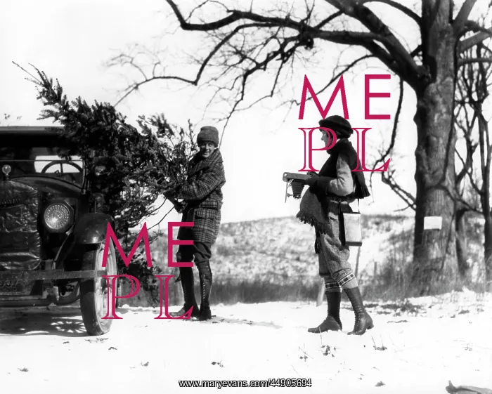 : 1920s Man Loading Christmas Tree : 1920s Man Loading Christmas Tree