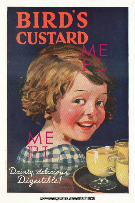 : 1925 UK Magazine Bird's Custard Advert : 1925 UK Magazine Bird's Custard Advert