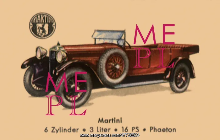  : 1928 Martini 6-Cylinder Phaeton