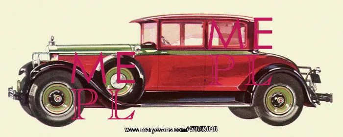  : 1928 Packard