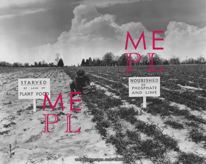 : 1930 New Deal programs promoted chemical ? : 1930 New Deal programs promoted chemical ?
