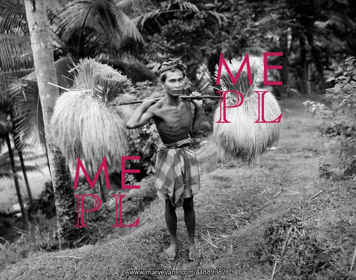 : 1930s Balinese Man With Stick : 1930s Balinese Man With Stick