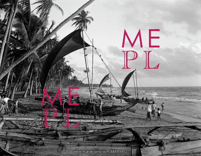  : 1930s Catamarans On Tropical Beach