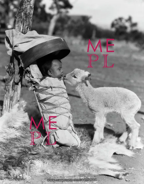  : 1930s Lamb Approaching Navajo