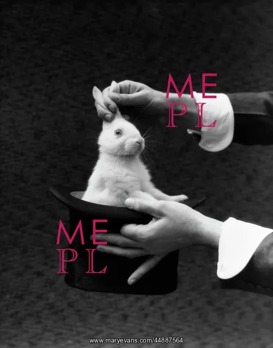 : 1930s Magician Hands Pulling Rabbit : 1930s Magician Hands Pulling Rabbit