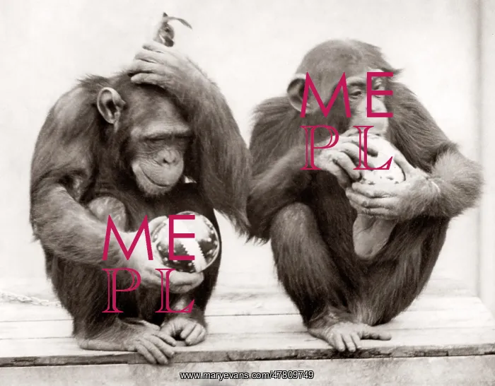 : 1930's press print monkeys Whipsnade Zoo Easter Eggs : 1930's press print monkeys Whipsnade Zoo Easter Eggs
