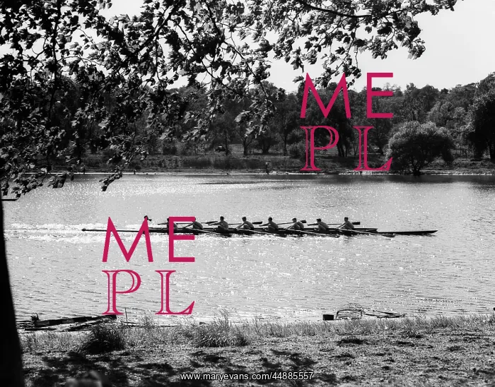 : 1930s Sculling Boat Race On The : 1930s Sculling Boat Race On The