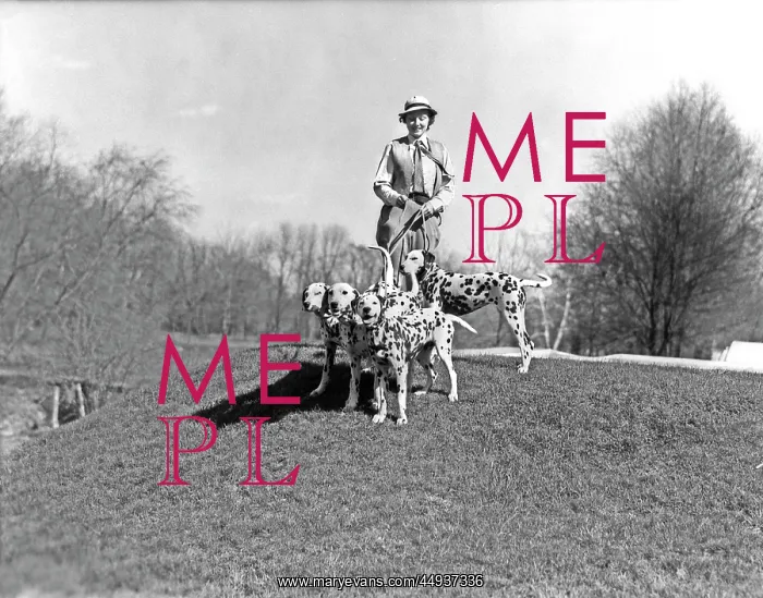 : 1930s Woman Walking Four Leashed : 1930s Woman Walking Four Leashed