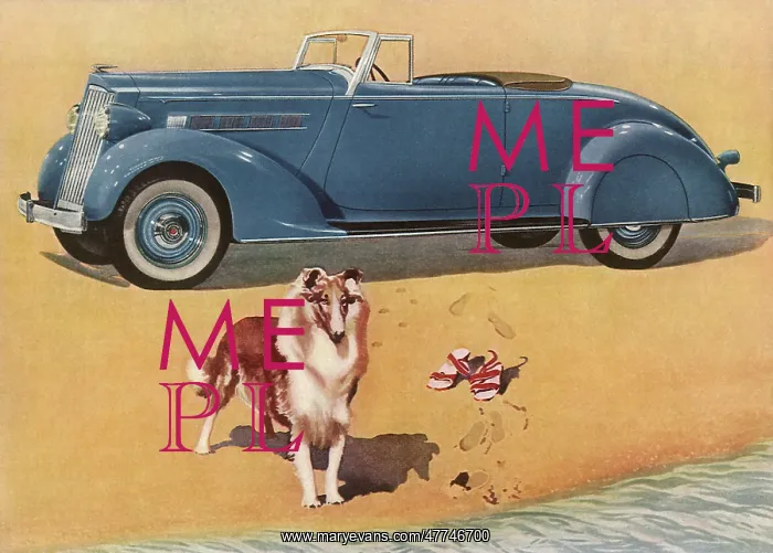 : 1935 Packard 120 Convertible Coupe : 1935 Packard 120 Convertible Coupe
