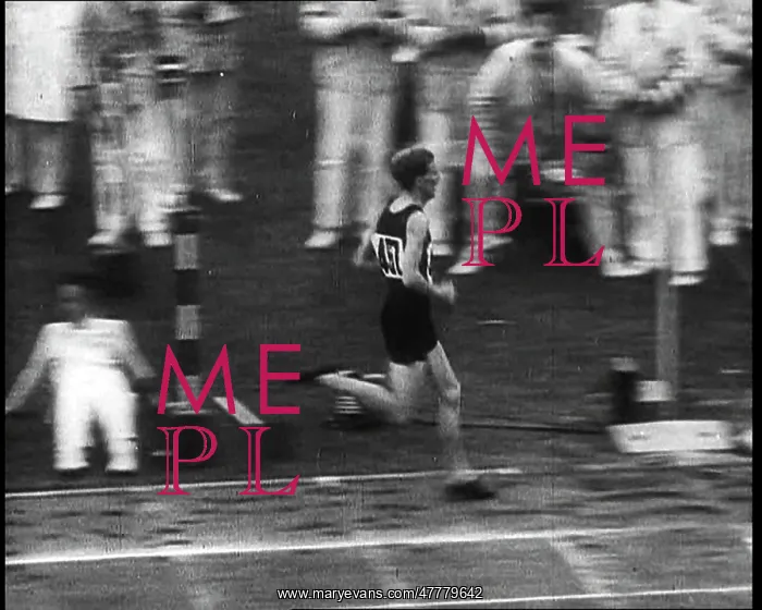 : The 1936 Berlin Olympics : The 1936 Berlin Olympics
