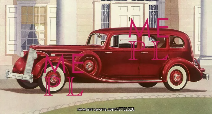 : 1936 Packard : 1936 Packard