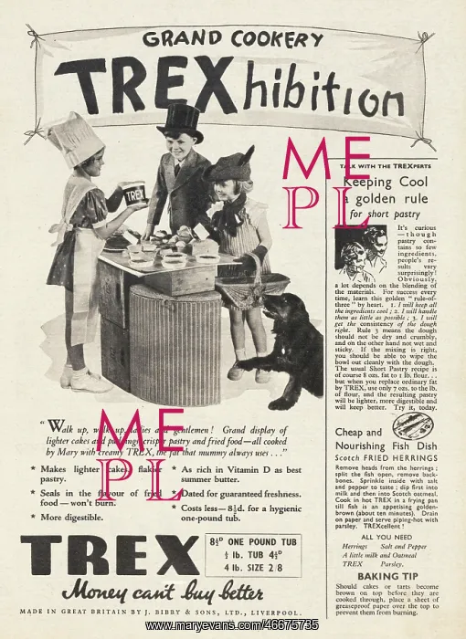 : 1937 UK Magazine Trex Advert : 1937 UK Magazine Trex Advert