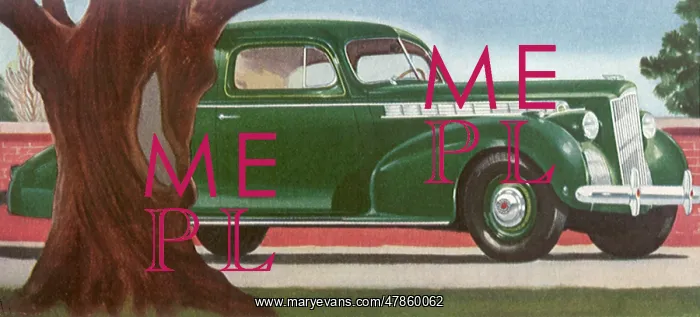  : 1940 Packard