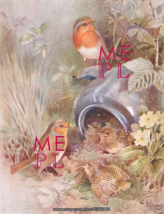 : 1940s, 1950s, scrapbook image, colour illustration : 1940s, 1950s, scrapbook image, colour illustration
