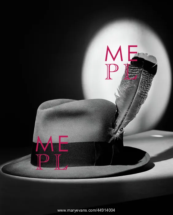 : 1940s FEDORA HAT WITH FEATHER IN BAND IN SPOTLIGHT : 1940s FEDORA HAT WITH FEATHER IN BAND IN SPOTLIGHT
