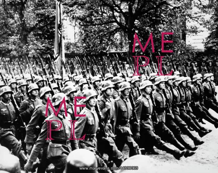 : 1940s German Troops Marching Goose : 1940s German Troops Marching Goose