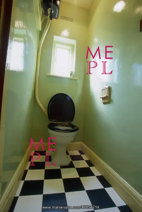 : 1940S LOO. A typical 1940s lavatory, with green walls : 1940S LOO. A typical 1940s lavatory, with green walls