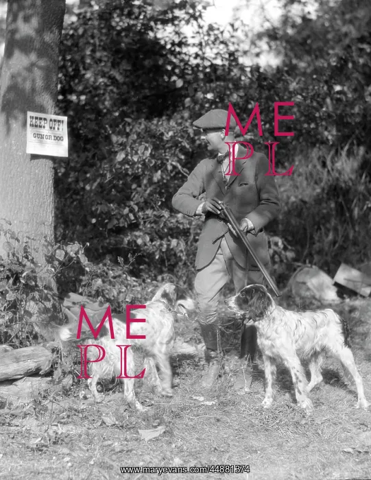 : 1940s Man With Two Dogs Holding : 1940s Man With Two Dogs Holding