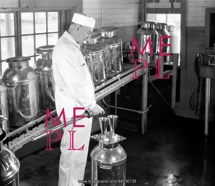 : 1940s Milk Can Dairy : 1940s Milk Can Dairy