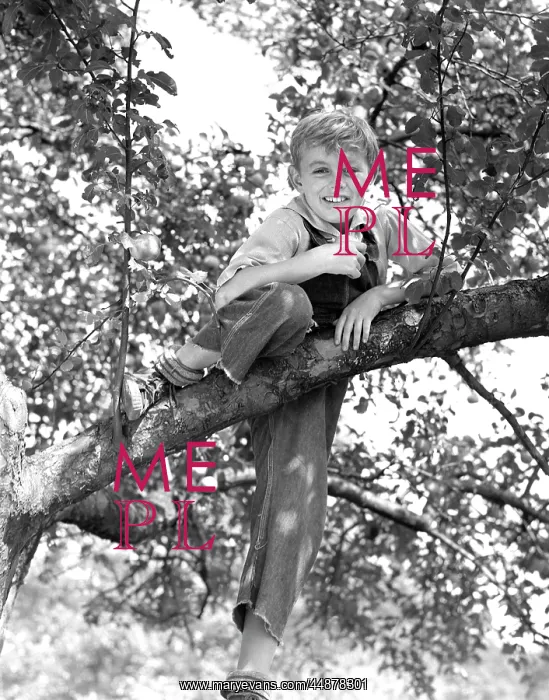  : 1940s Smiling Young Boy On Branch