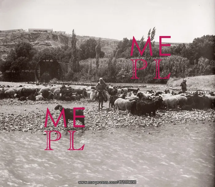 : 1943 Syria - Hama on the river Orontes : 1943 Syria - Hama on the river Orontes
