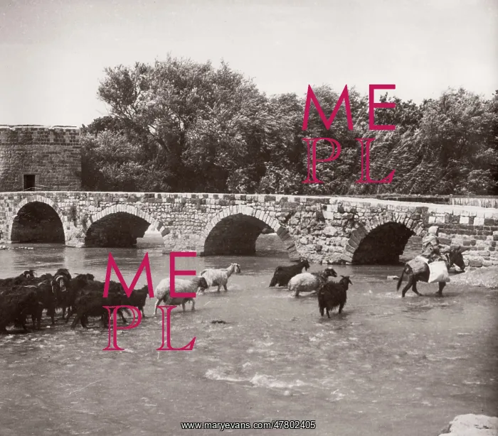 : 1943 Syria - Hama on the river Orontes : 1943 Syria - Hama on the river Orontes
