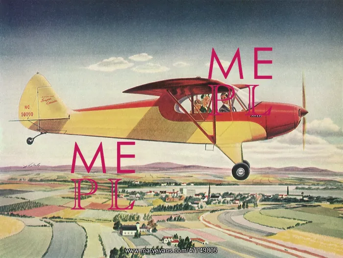  : 1946 Piper Cub