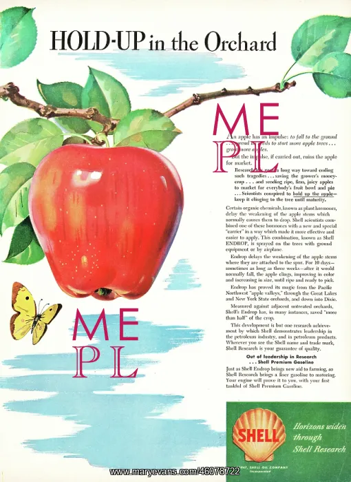 : 1947 U.S. Magazine Shell Research Advert : 1947 U.S. Magazine Shell Research Advert