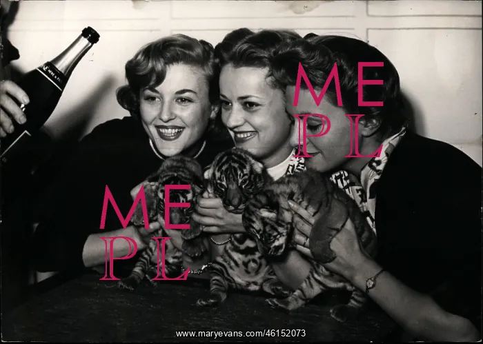 : 1950-1959 Actor - Actress : 1950-1959 Actor - Actress
