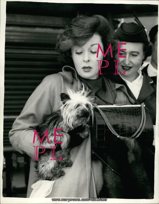 : 1950-1959 Actor - Actress : 1950-1959 Actor - Actress