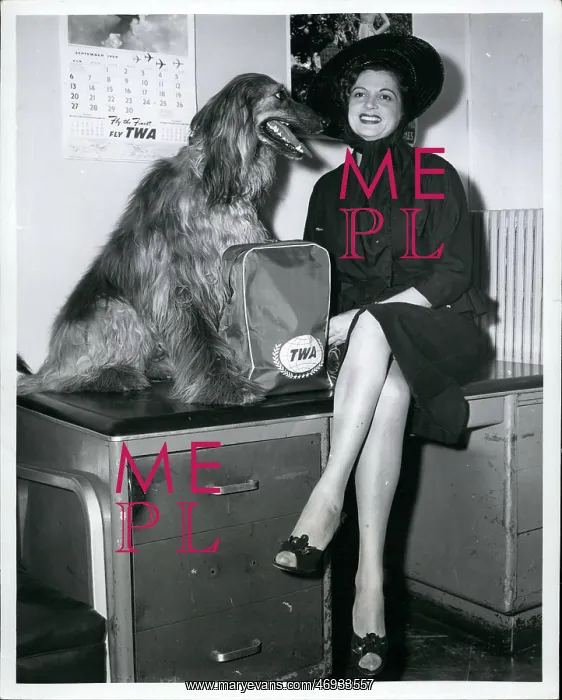 : 1950-1959 Actor - Actress : 1950-1959 Actor - Actress