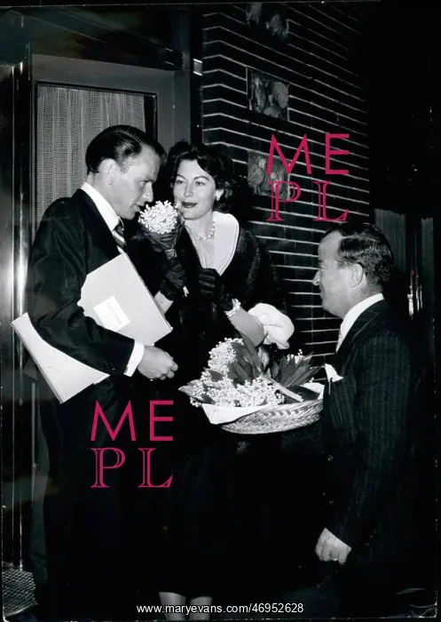 : 1950-1959 Actor - Actress : 1950-1959 Actor - Actress