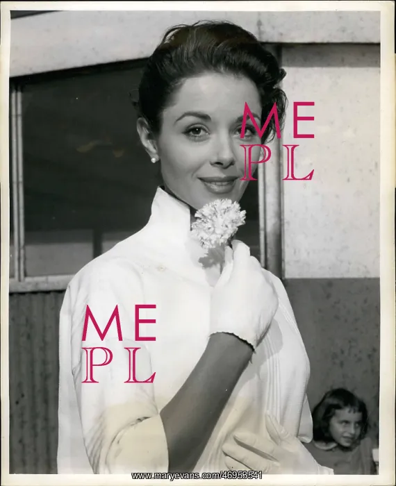 : 1950-1959 Actor - Actress : 1950-1959 Actor - Actress