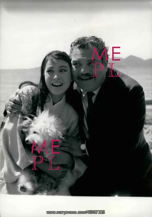 : 1950-1959 Actor - Actress : 1950-1959 Actor - Actress