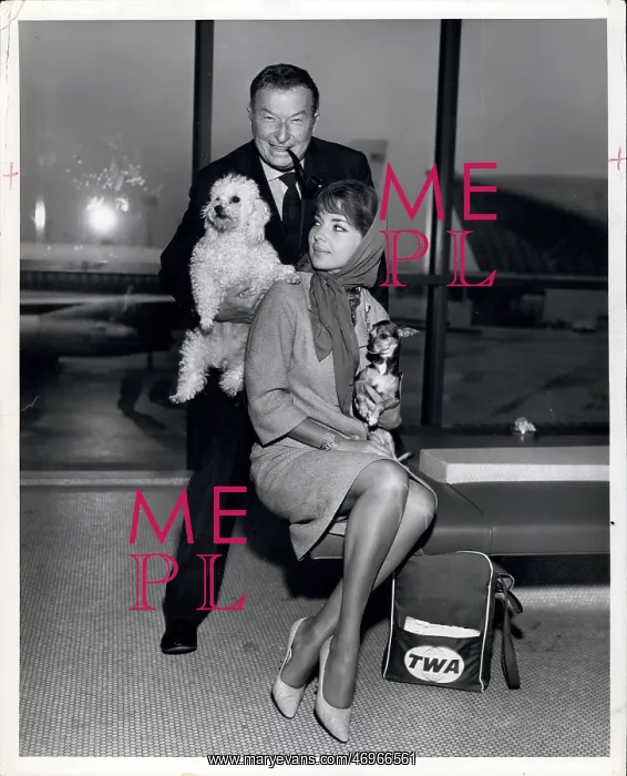 : 1950-1959 Actor - Actress : 1950-1959 Actor - Actress