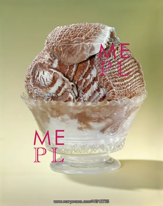 : 1950s 1960s dish of chocolate vanilla ripple : 1950s 1960s dish of chocolate vanilla ripple