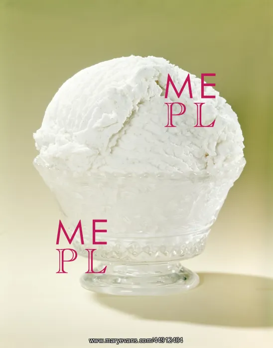 : 1950s 1960s dish of vanilla : 1950s 1960s dish of vanilla